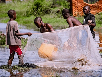 Interface de la plateforme digitale d'aquaculture au Cameroun